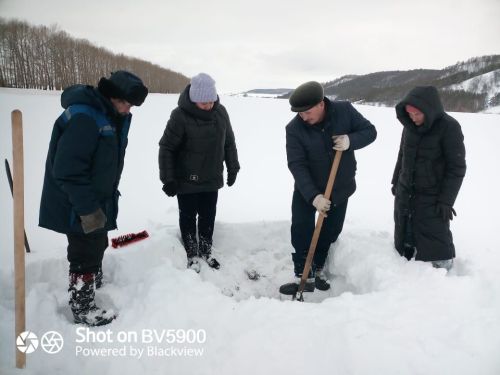 Белгечләр көзге культураларның ничек кышлавын тикшерәләр