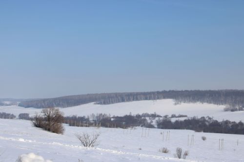 Туган телдә аралаштылар