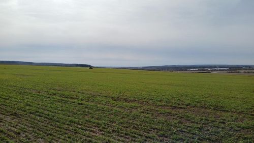 Зәй кырларында арпа чәчүгә керештеләр