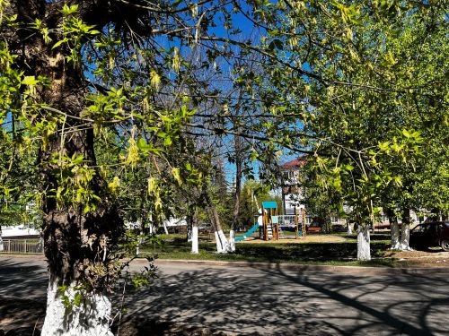 В выходные в Татарстане ожидается 30-градусная жара