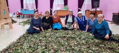 Сәвәләйлеләр, маскировка челтәрләре үреп, җиңүне якынайталар