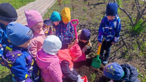 В Заинске продолжается экологическая акция «Посади дерево»