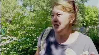 Чем порадовала горожан эта неделя?