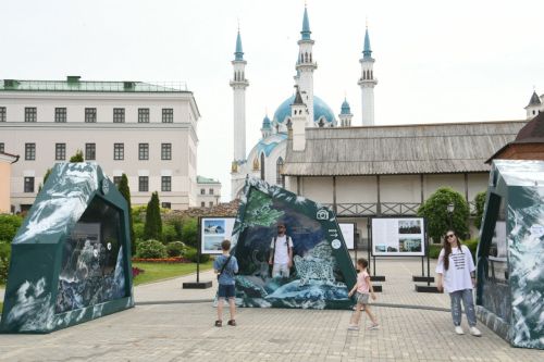 В Казани открылась выставка, посвящённая снежному барсу