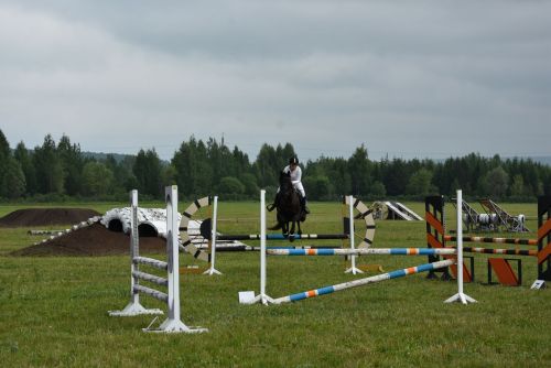 Сабантуй-2024: Стали известны результаты конных скачек в Заинске