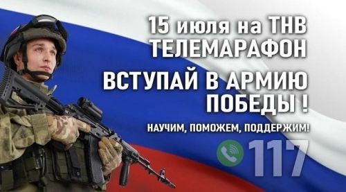 Волонтеры из Казани отправляют на фронт котов для борьбы с грызунами