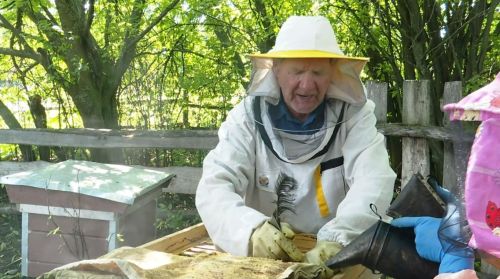 Пчеловодство — образ жизни Александра Дурманова