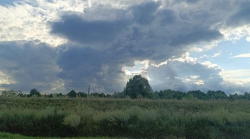 В Татарстане ожидается гроза и 29-градусная жара