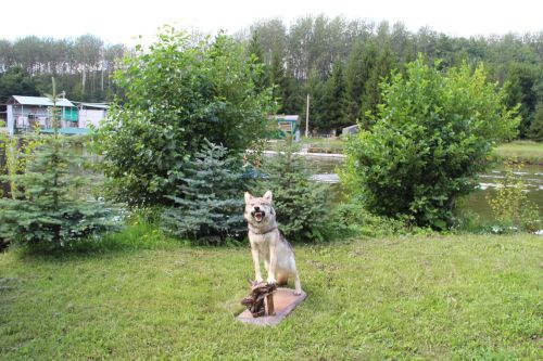 В Заинске прошел День добрых дел