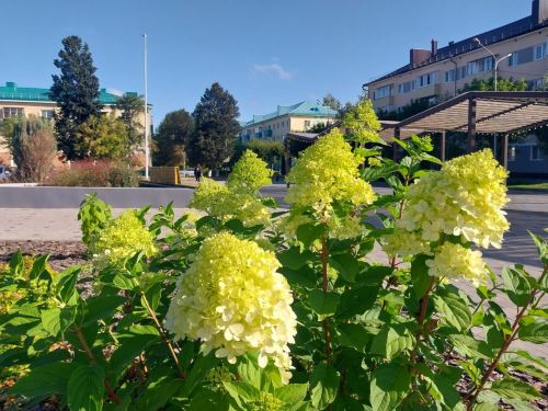 В Татарстане сохранится летняя погода