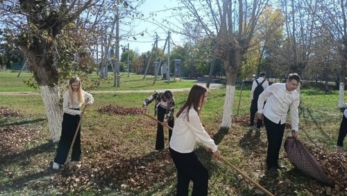 В Заинске состоялся осенний субботник