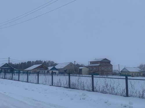 Шепкәлеләр дә актив яшәү рәвеше алып бара