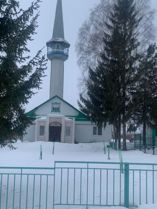 Шепкәлеләр дә актив яшәү рәвеше алып бара