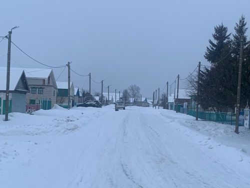 Шепкәлеләр дә актив яшәү рәвеше алып бара