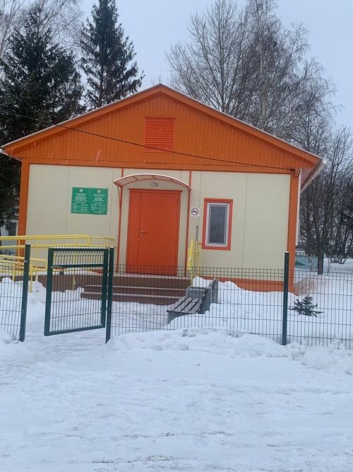 Шепкәлеләр дә актив яшәү рәвеше алып бара