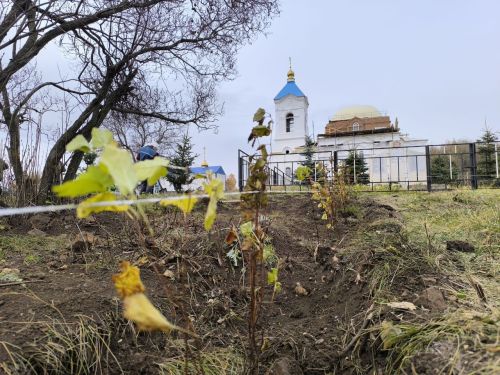 Керәшен Мәлемендә авылның престол бәйрәме алдыннан агачлар утырттылар