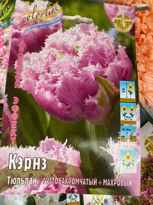 Язгы матурлыкка көздән нигез салына