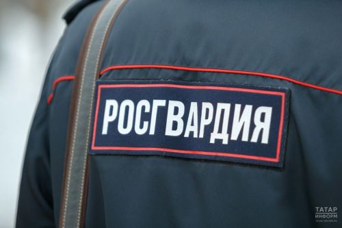 29 октября — День вневедомственной охраны Росгвардии: праздник защитников правопорядка