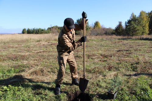Аллея памяти героев разных поколений появилась в Аксарино