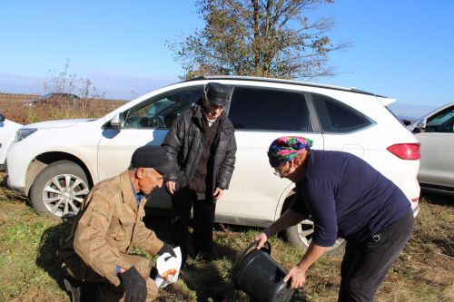 Аллея памяти героев разных поколений появилась в Аксарино