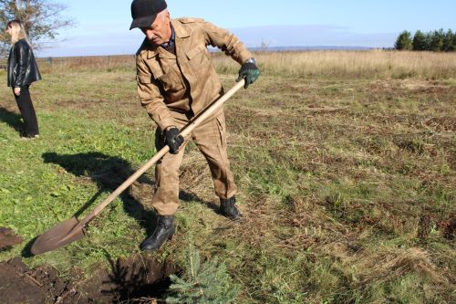 Аллея памяти героев разных поколений появилась в Аксарино