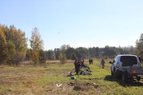 Аллея памяти героев разных поколений появилась в Аксарино