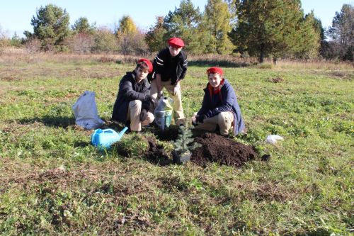 Аллея памяти героев разных поколений появилась в Аксарино
