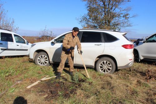 Аллея памяти героев разных поколений появилась в Аксарино