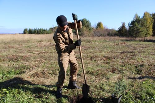 Аллея памяти героев разных поколений появилась в Аксарино