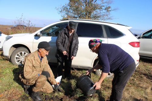 Аллея памяти героев разных поколений появилась в Аксарино