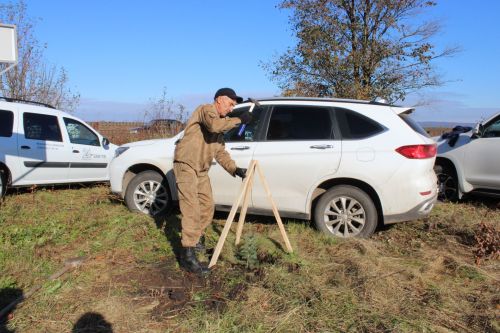 Аллея памяти героев разных поколений появилась в Аксарино
