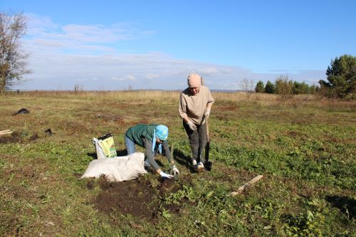 Аллея памяти героев разных поколений появилась в Аксарино