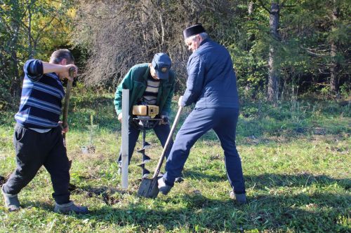 Аллея памяти героев разных поколений появилась в Аксарино