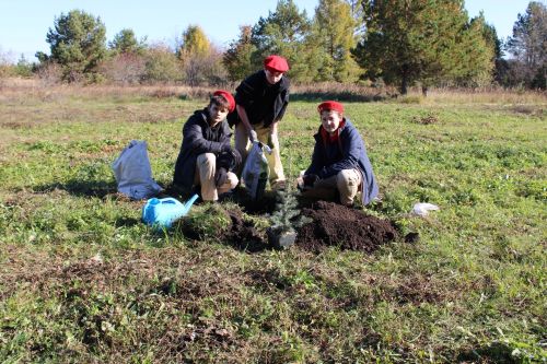 Аллея памяти героев разных поколений появилась в Аксарино