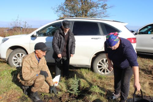 Аллея памяти героев разных поколений появилась в Аксарино