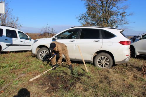 Аллея памяти героев разных поколений появилась в Аксарино