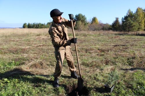 Аллея памяти героев разных поколений появилась в Аксарино