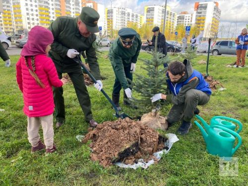 11 октября в Татарстане будет организована массовая посадка деревьев в рамках Всероссийской акции «Сохраним лес»