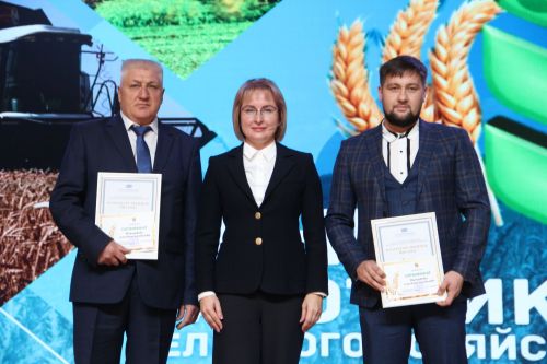 Яркие моменты праздника урожая-2025 в Заинске