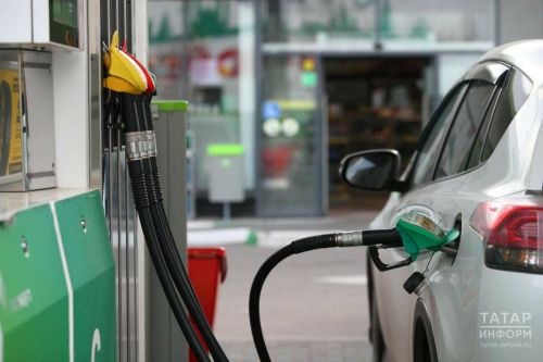 В Татарстане за 10 дней подешевели две марки бензина