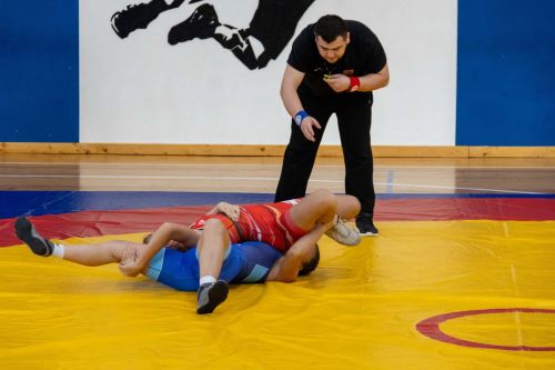Зәйдә ирекле көрәш федерациясе призына турнир узды