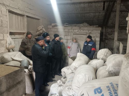 На учениях в селе Старый Токмак Заинского района спасали скот от паводка и разворачивали пункты для приема эвакуированных