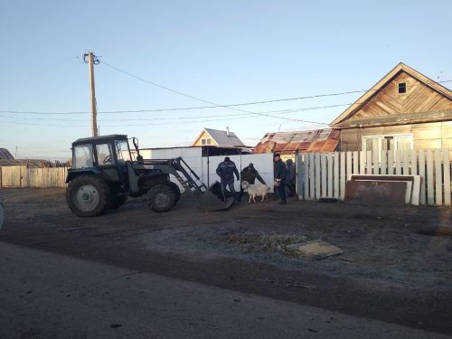 На учениях в селе Старый Токмак Заинского района спасали скот от паводка и разворачивали пункты для приема эвакуированных