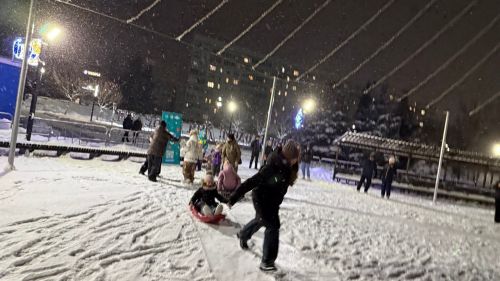 Новогодний променад собрал в парке юных спортсменов