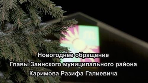 Новогоднее поздравление Главы Заинского муниципального  района Разифа Каримова