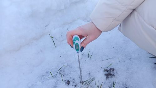 В Татарстане оценили состояние полей озимых культур и дали рекомендации аграриям