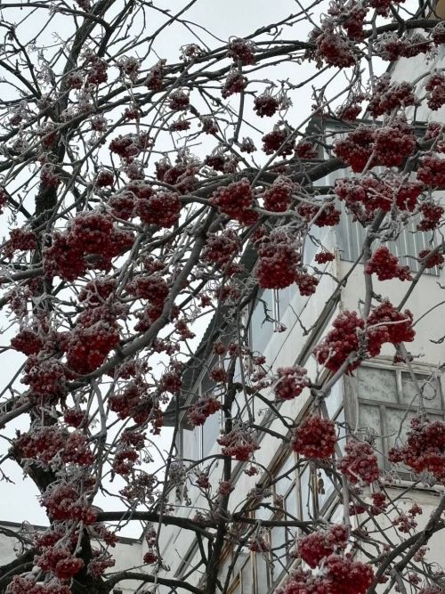 Изменение погоды в Татарстане: прогноз на три дня с 24 по 26 февраля