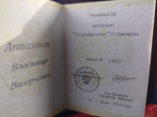 Медаль «За храбрость» второй степени посмертно вручена герою СВО из Заинска Владимиру Апполонову