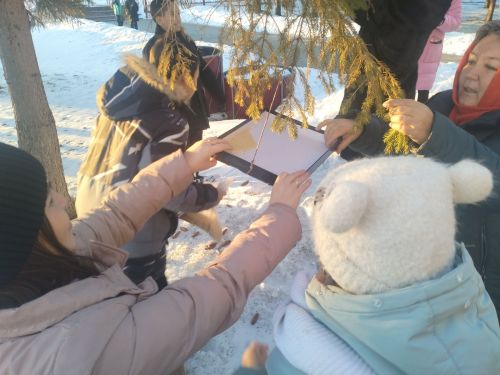 В Заинске позаботились о птицах: дети сделали кормушки своими руками