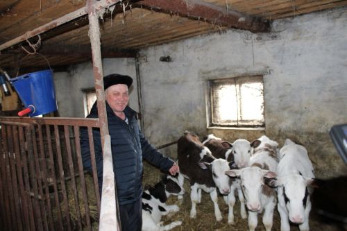 Мул тормыш тырыш хезмәткә бәйле